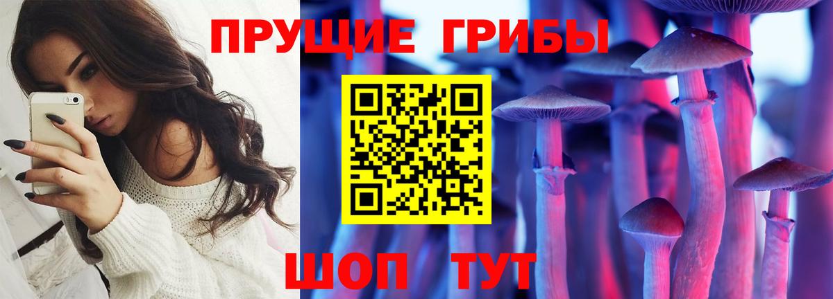 Белебей  Псилоцибиновые грибы GOLDEN TEACHER  Вход с VPN 
